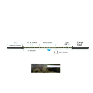 optimizada_3719029 optimizada_3719029.webp
