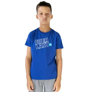 Ofertas t-shirt everlast stroke, camiseta deportiva para hombre