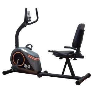 Bicicleta Recumbente Everlast: Diseño y comodidad