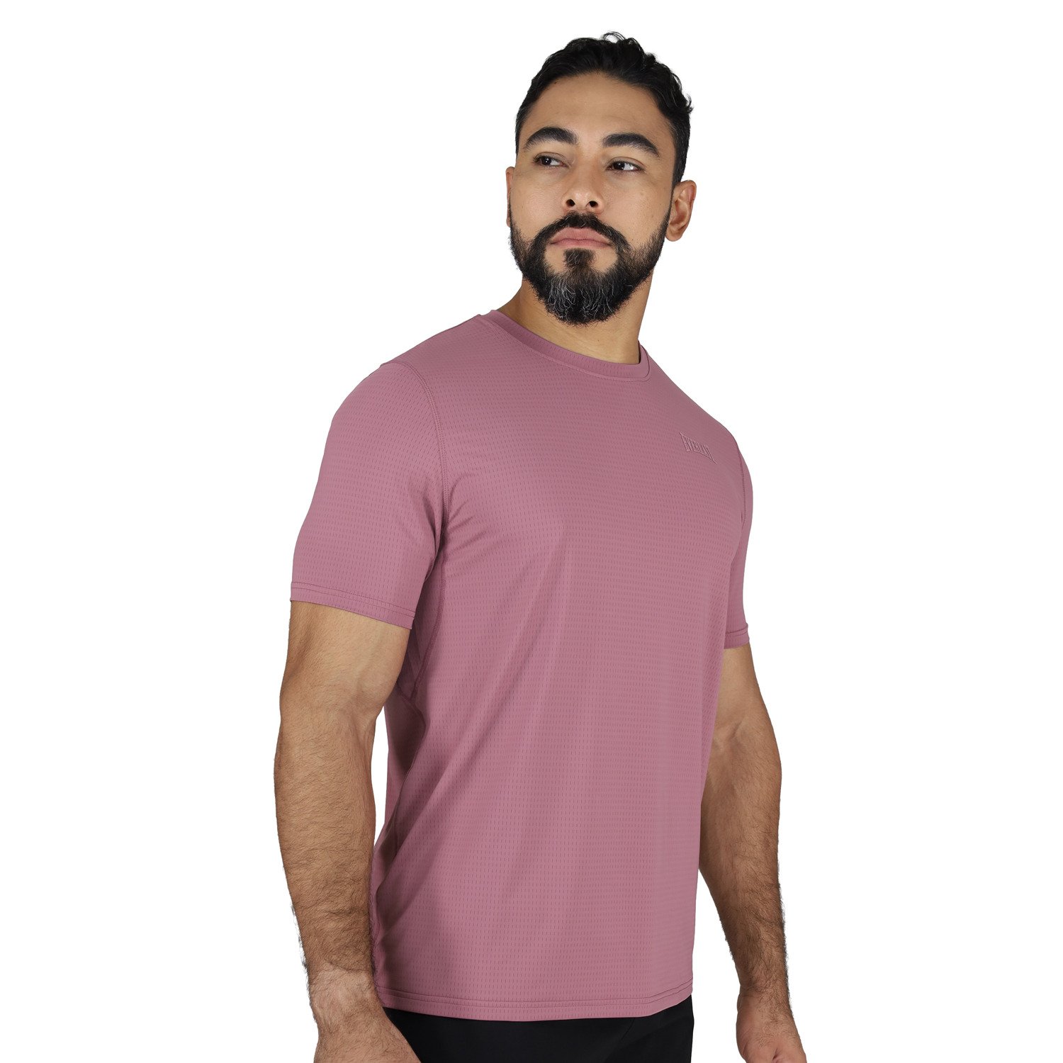 T-shirt Everlast Ronnie Deportivo Nylon t-shirt everlast ronnie deportivo